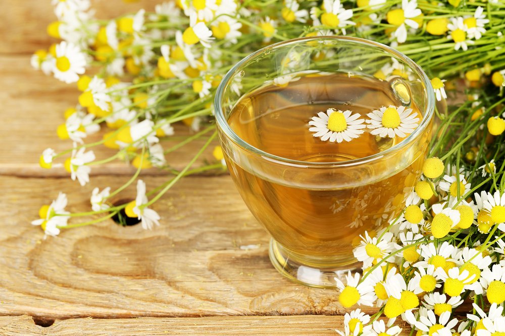 Chamomile-Extract