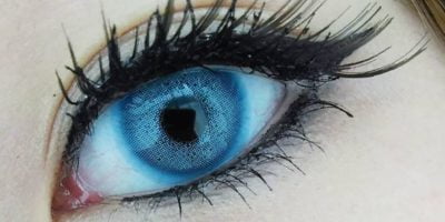 Sweety batis blue closeup