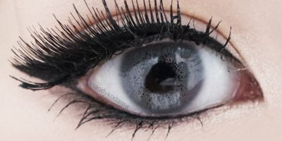 Spatax grey eyes