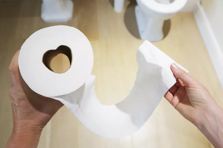 toilet paper vs wet wipes