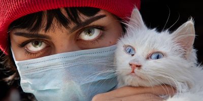 colored contact lenses in pandemic