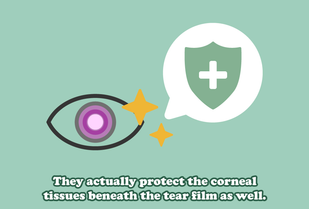 They actually protect the corneal
tissues beneath the tear film as well.
