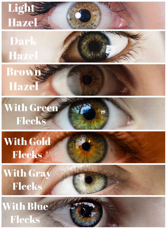 color hazel eyes